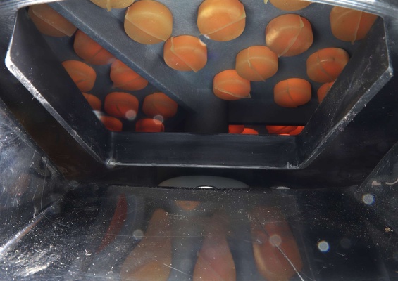 Desplumadora Perdices y Codornices 180w 300mm